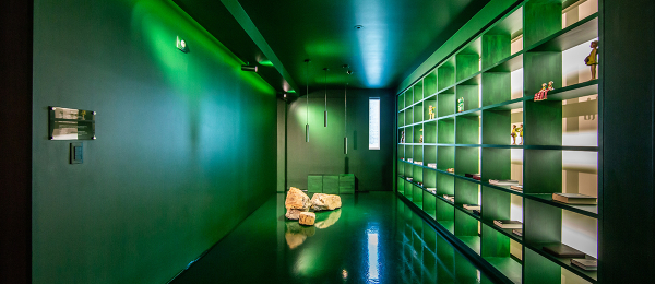 SHOW ROOM